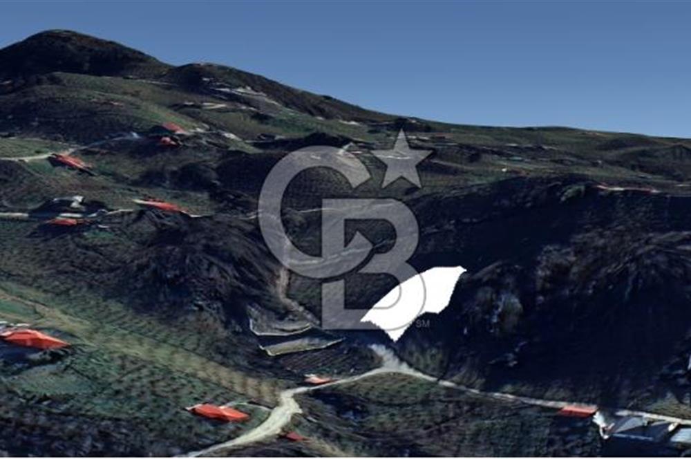 TRABZON UĞURLU'DA YOLA CEPHESİ OLAN YATIRIMLIK SATILIK ARAZİ