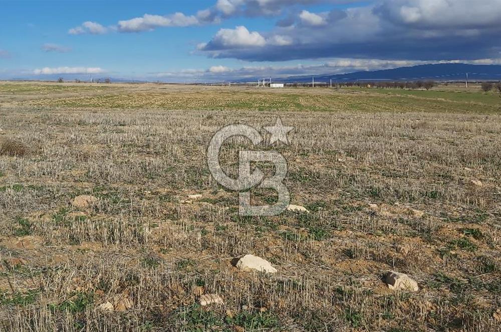 Afyon-Dazkırı Engerek Mevkinde Yola Yakın 6.603 m² Satılık Tarla