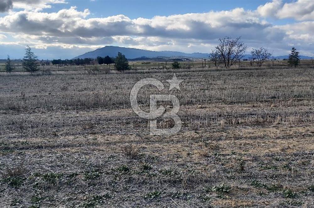Afyon-Dazkırı Engerek Mevkinde Yola Yakın 6.603 m² Satılık Tarla