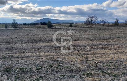 Afyon-Dazkırı Engerek Mevkinde Yola Yakın 6.603 m² Satılık Tarla