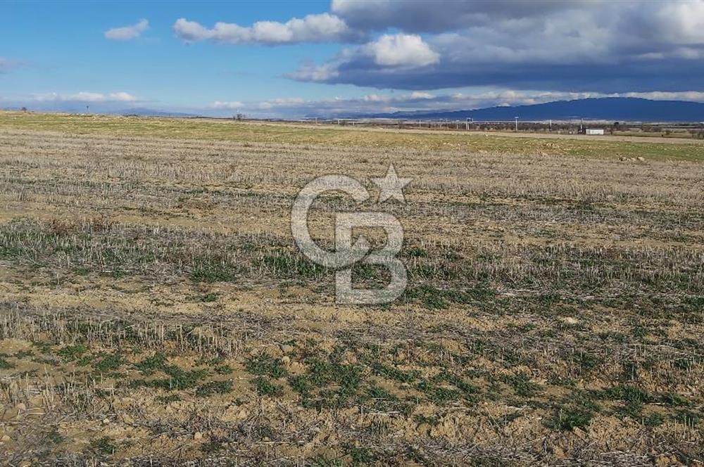 Afyon-Dazkırı Engerek Mevkinde Yola Yakın 6.603 m² Satılık Tarla