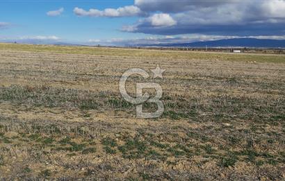 Afyon-Dazkırı Engerek Mevkinde Yola Yakın 6.603 m² Satılık Tarla