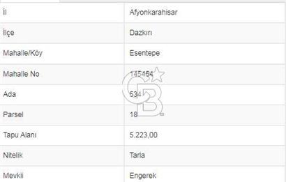 Afyon-Dazkırı Engerek Mevkinde Yola Yakın 6.603 m² Satılık Tarla