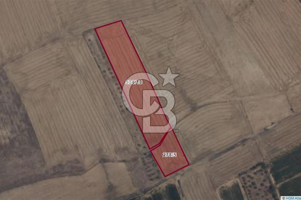 Afyon-Dazkırı Engerek Mevkinde Yola Yakın 6.603 m² Satılık Tarla