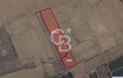 Afyon-Dazkırı Engerek Mevkinde Yola Yakın 6.603 m² Satılık Tarla