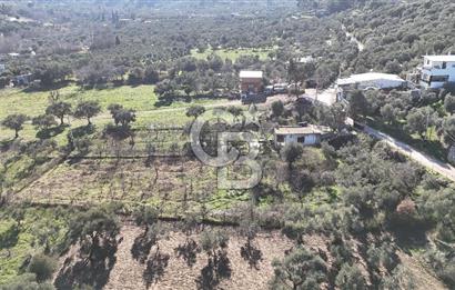 Kemalpaşa Armutlu'da 1745 m2 Satılık Bağ 