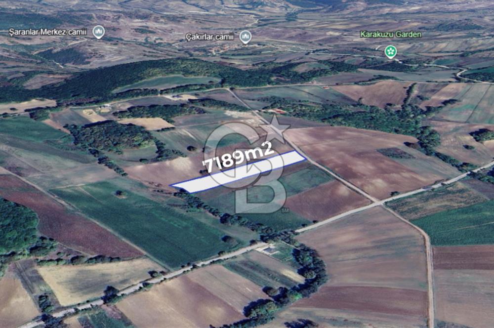 DERİNCE TAHTALI BALKANCILAR MEVKİİ SATILIK TARLA