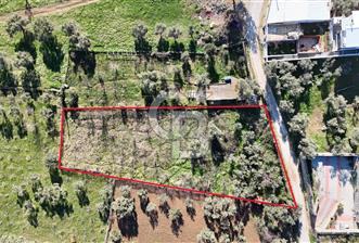 Kemalpaşa Armutlu'da 1745 m2 Satılık Bağ  - 2 - 326773