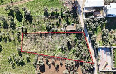 Kemalpaşa Armutlu'da 1745 m2 Satılık Bağ 