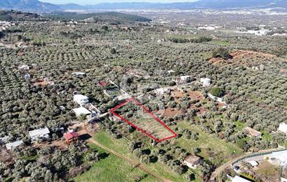 Kemalpaşa Armutlu'da 1745 m2 Satılık Bağ 