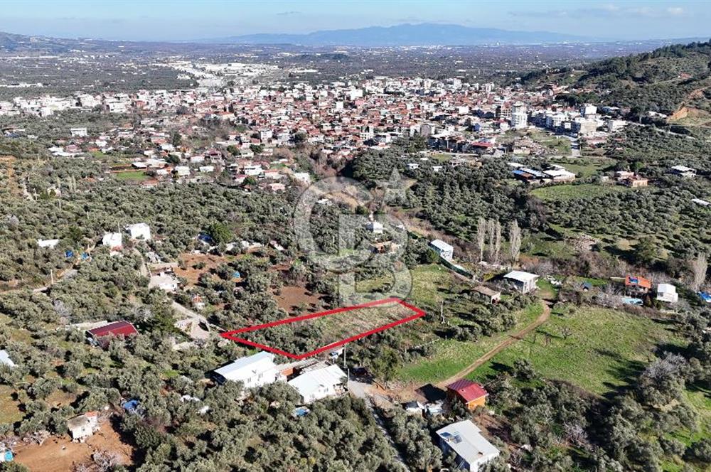 Kemalpaşa Armutlu'da 1745 m2 Satılık Bağ 