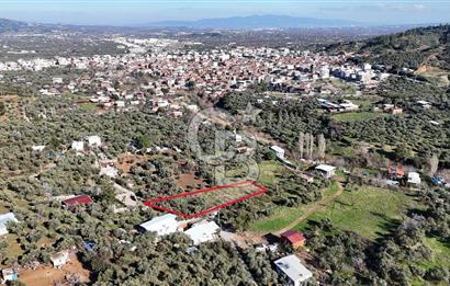 Kemalpaşa Armutlu'da 1745 m2 Satılık Bağ 