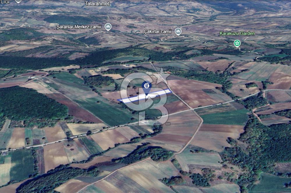 DERİNCE TAHTALI BALKANCILAR MEVKİİ SATILIK TARLA