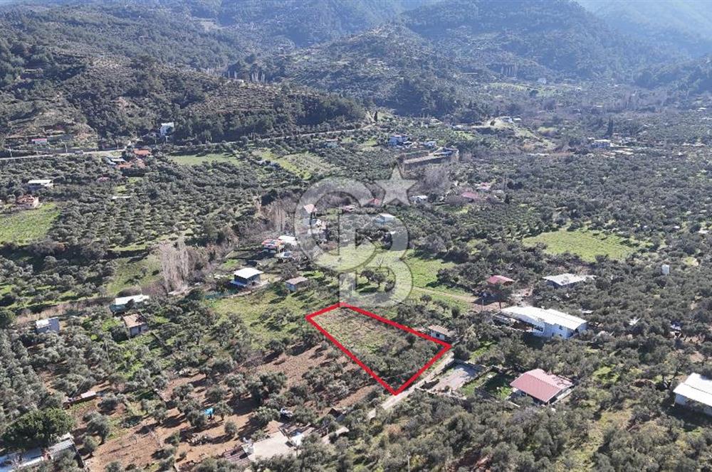 Kemalpaşa Armutlu'da 1745 m2 Satılık Bağ 