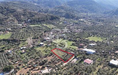 Kemalpaşa Armutlu'da 1745 m2 Satılık Bağ 