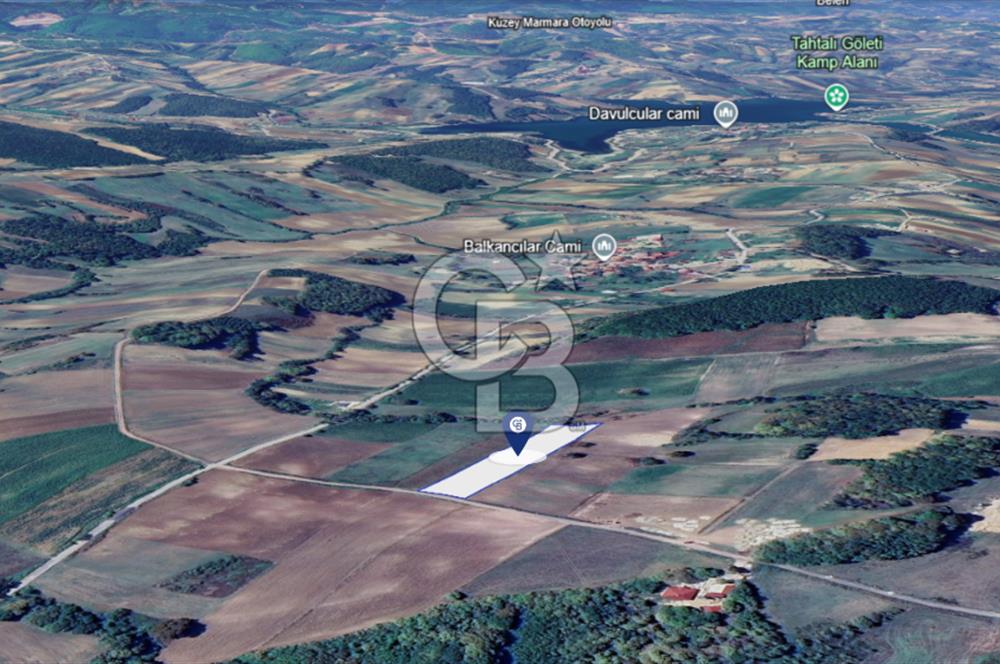 DERİNCE TAHTALI BALKANCILAR MEVKİİ SATILIK TARLA