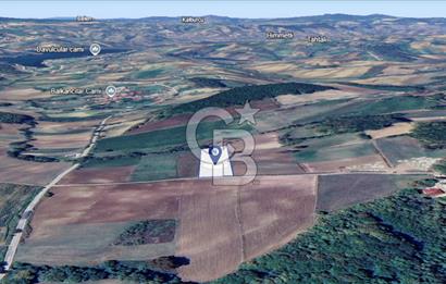 DERİNCE TAHTALI BALKANCILAR MEVKİİ SATILIK TARLA