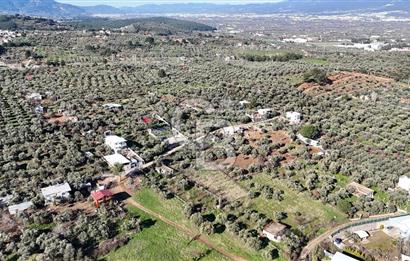 Kemalpaşa Armutlu'da 1745 m2 Satılık Bağ 