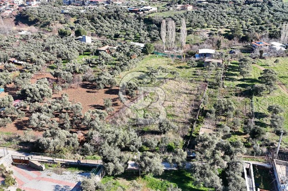 Kemalpaşa Armutlu'da 1745 m2 Satılık Bağ 