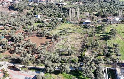 Kemalpaşa Armutlu'da 1745 m2 Satılık Bağ 