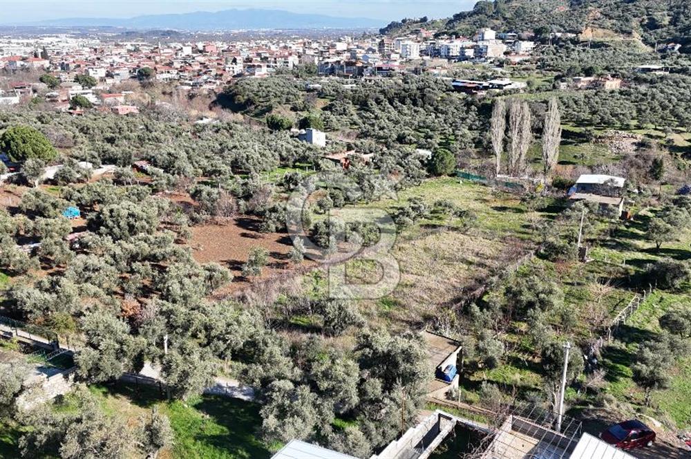 Kemalpaşa Armutlu'da 1745 m2 Satılık Bağ 