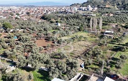 Kemalpaşa Armutlu'da 1745 m2 Satılık Bağ 