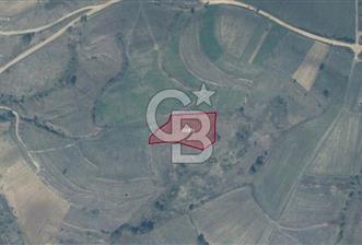 KANDIRA ELMACIK'TA 3640 M2 SATILIK TARLA CB TOWER - 1 - 327405