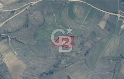 KANDIRA ELMACIK'TA 3640 M2 SATILIK TARLA CB TOWER
