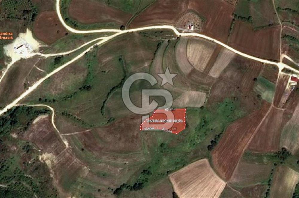 KANDIRA ELMACIK'TA 3640 M2 SATILIK TARLA CB TOWER