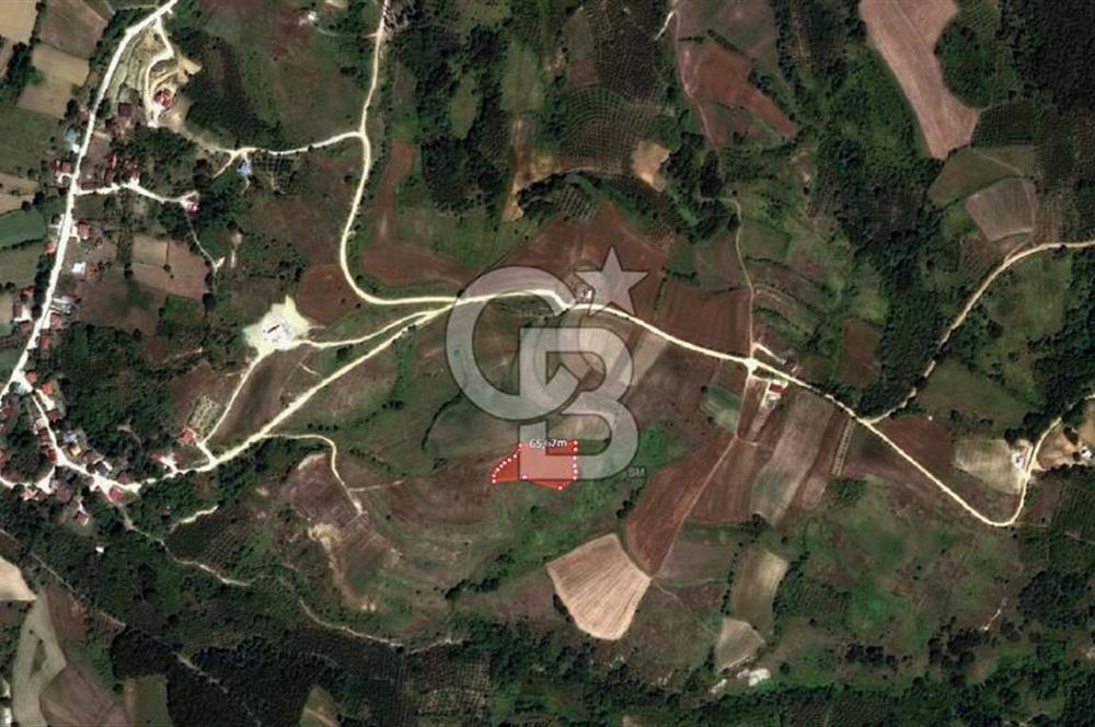 KANDIRA ELMACIK'TA 3640 M2 SATILIK TARLA CB TOWER