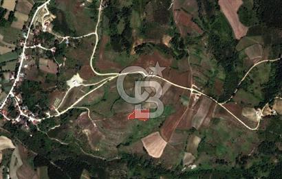 KANDIRA ELMACIK'TA 3640 M2 SATILIK TARLA CB TOWER