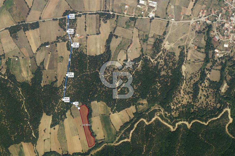 1294256626 CB LEADER' DAN BALIKESİR KARESİ HİSARALAN MAH. SATILIK TARLA