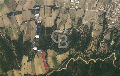 1294256626 CB LEADER' DAN BALIKESİR KARESİ HİSARALAN MAH. SATILIK TARLA