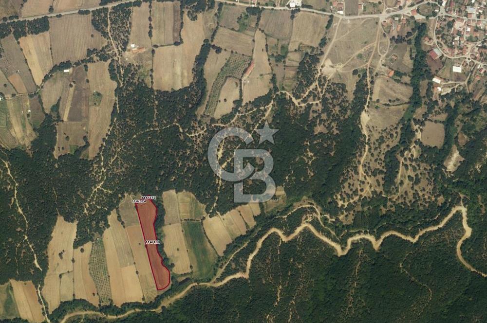 1294256626 CB LEADER' DAN BALIKESİR KARESİ HİSARALAN MAH. SATILIK TARLA