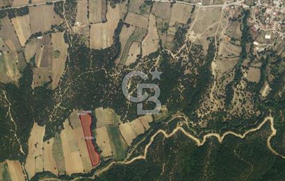 1294256626 CB LEADER' DAN BALIKESİR KARESİ HİSARALAN MAH. SATILIK TARLA