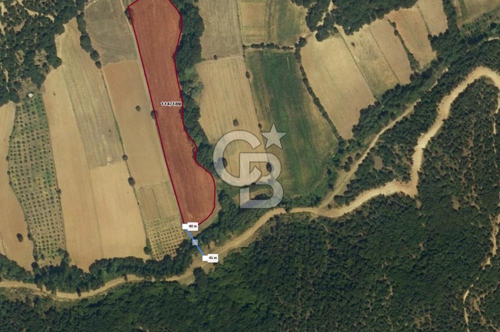 1294256626 CB LEADER' DAN BALIKESİR KARESİ HİSARALAN MAH. SATILIK TARLA