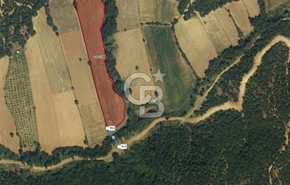 1294256626 CB LEADER' DAN BALIKESİR KARESİ HİSARALAN MAH. SATILIK TARLA