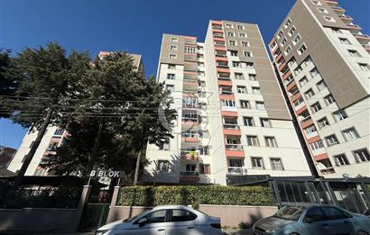 ADATEPE MAHALLESİ, SİTE İÇİ, ARAKAT, DOĞALGAZLI, ASANSÖRLÜ, 3+1