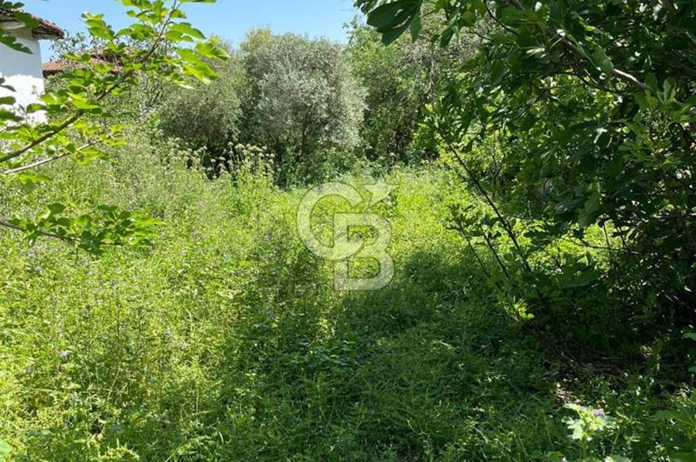 İzmir Ödemiş Adagide Mahallesinde Bahçeli Kerpiç Ev