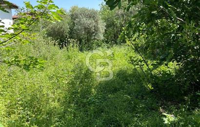 İzmir Ödemiş Adagide Mahallesinde Bahçeli Kerpiç Ev