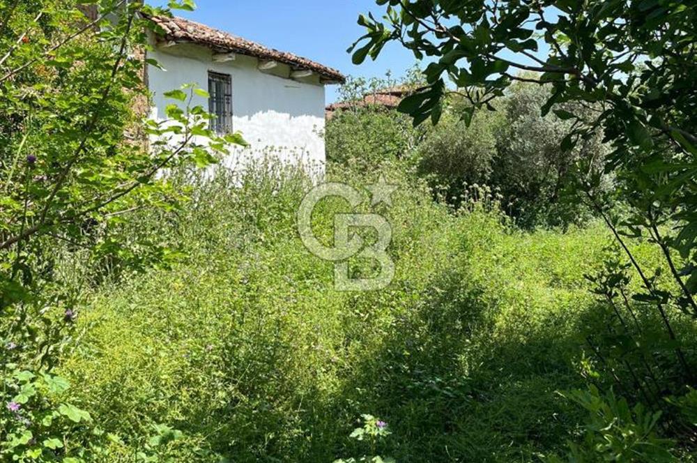 İzmir Ödemiş Adagide Mahallesinde Bahçeli Kerpiç Ev