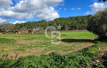 Urla Kuşçular'da Satılık 16.907,37 m2 Arazi