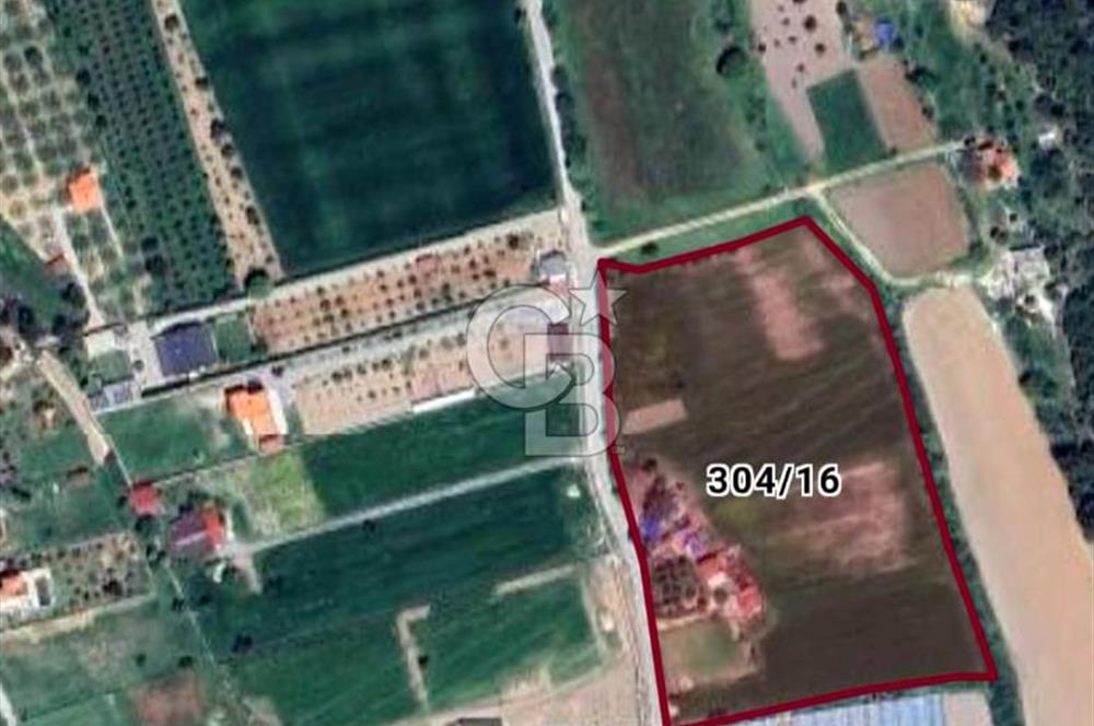 Urla Kuşçular'da Satılık 16.907,37 m2 Arazi