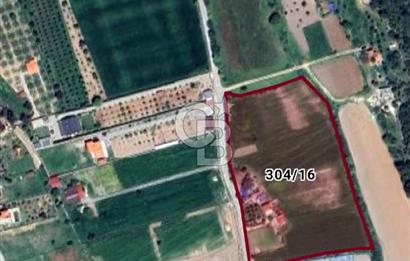Urla Kuşçular'da Satılık 16.907,37 m2 Arazi