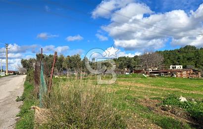 Urla Kuşçular'da Satılık 16.907,37 m2 Arazi