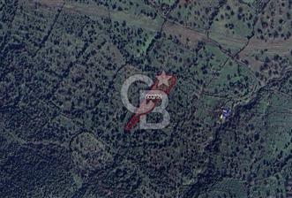 CB ODAK'TAN Aliağa Karakuzuda Yatırımlık Tarla - 2 - 327416