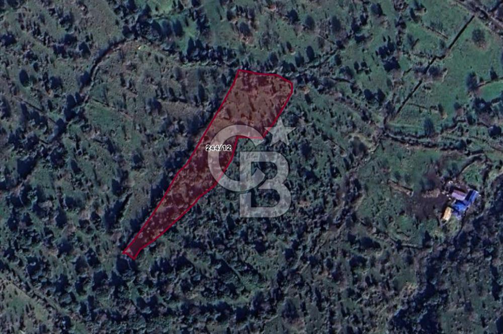 CB ODAK'TAN Aliağa Karakuzuda Yatırımlık Tarla