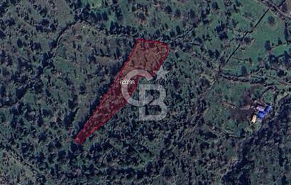 CB ODAK'TAN Aliağa Karakuzuda Yatırımlık Tarla