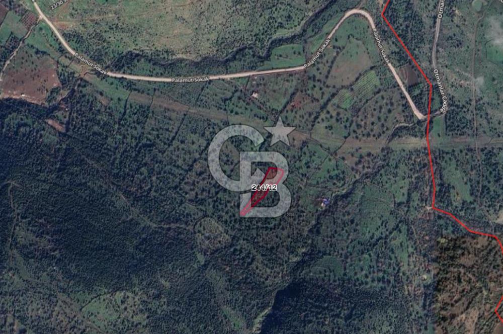 CB ODAK'TAN Aliağa Karakuzuda Yatırımlık Tarla