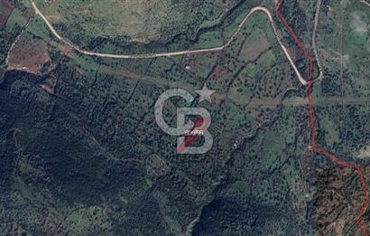 CB ODAK'TAN Aliağa Karakuzuda Yatırımlık Tarla